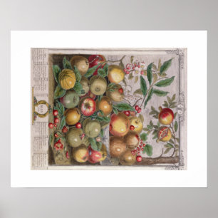 Póster Pieter Casteels, doce meses de frutas, puede