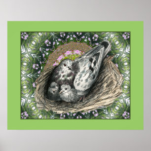 Póster Pigeon Nest