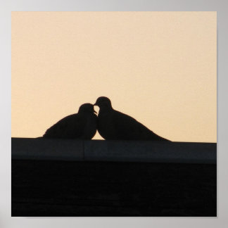 Póster Pigeones