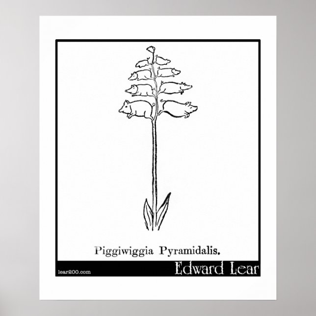 Póster Piggiwiggia Pyramidalis. (Frente)