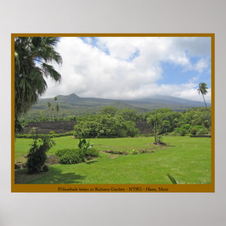 Póster Pi'ilanihale Heiau en el Jardín Kahanu - Maui