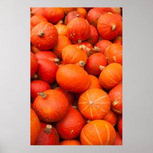 Póster Pila de calabazas pequeñas, Alemania