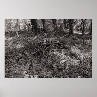 Póster Pila de garrapatas - blanco y negro cálido