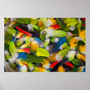 Póster Pila de plumas coloridas