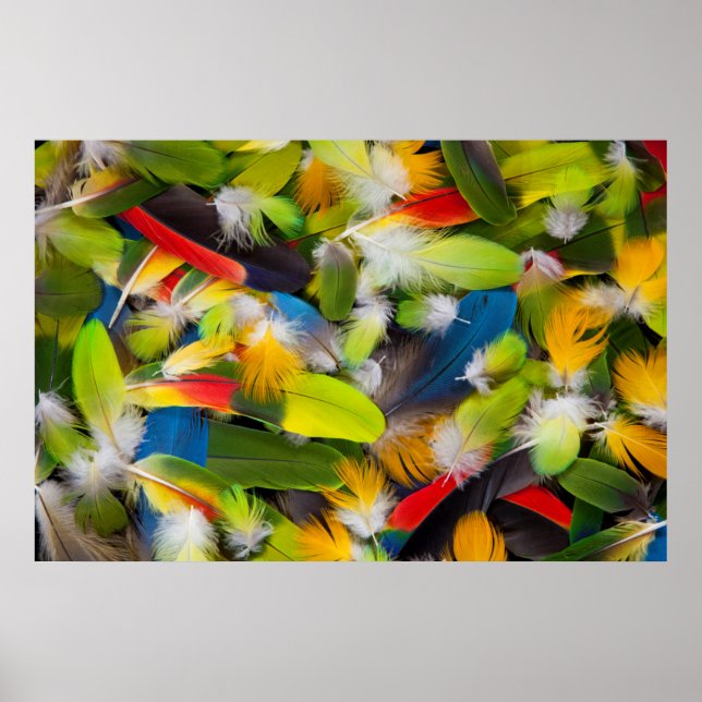Póster Pila de plumas coloridas (Frente)