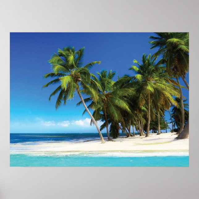 Póster Pilar de tiro de playa exótica (Frente)