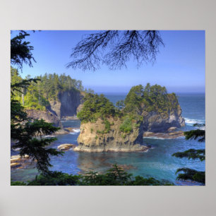 Póster Pilas de mar, tierras tribales de la nación Makah,