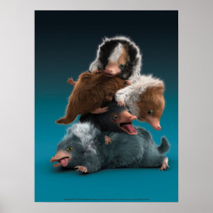 Póster Pile Baby NIFFLER™