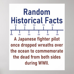 Póster Piloto de combate japonés - Hecho de la historia
