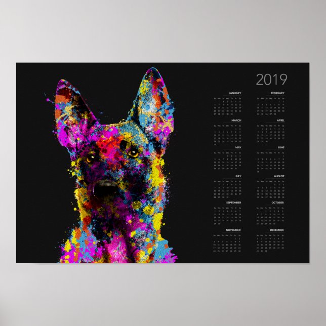 Póster Pimito malinois - pastor belga —Calendario 2019 (Frente)