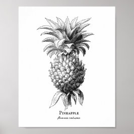 Póster Piña