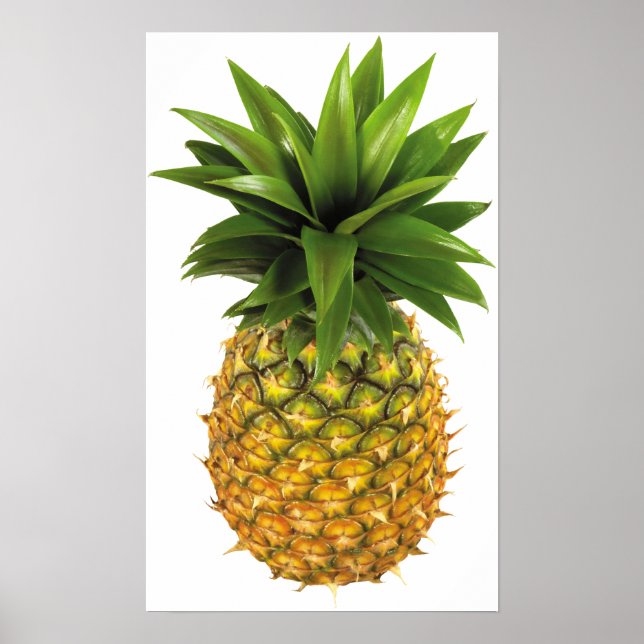Póster Piña (Frente)