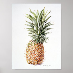 Póster Piña 1997