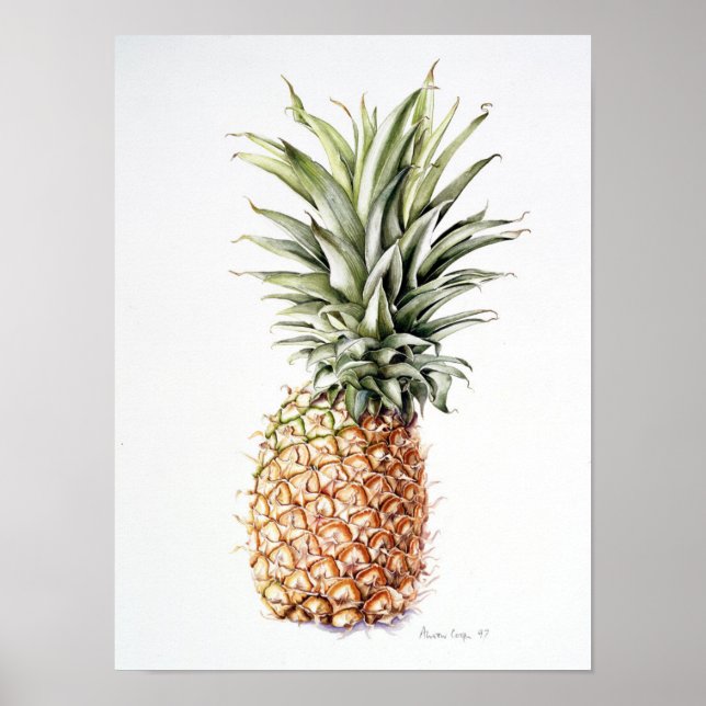Póster Piña 1997 (Frente)