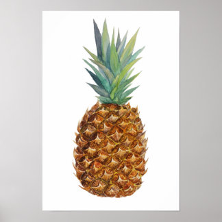 Póster Piña acuarela