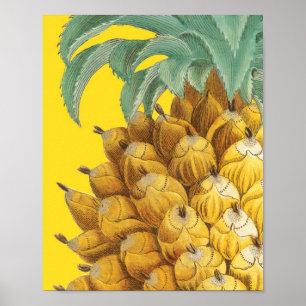 Póster Piña botánica en amarillo