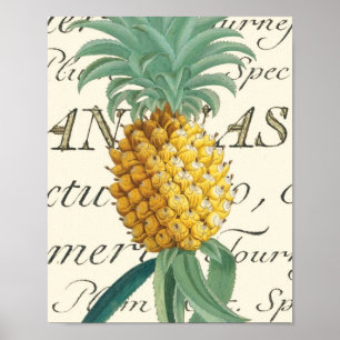 Póster Piña con el detalle caligráfico