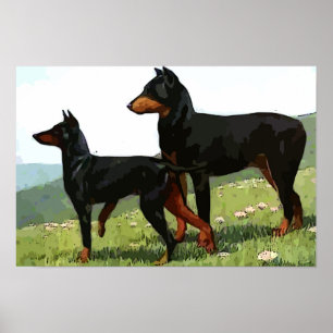 Póster Pinchadores Doberman pintados de época Imprimir te