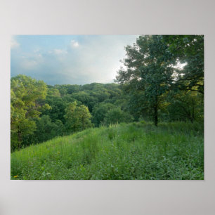 Póster Pine Bend Bluff sobre los bosques del valle