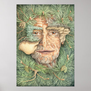 Póster Pine dryad