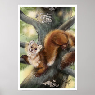 Póster Pine Marten