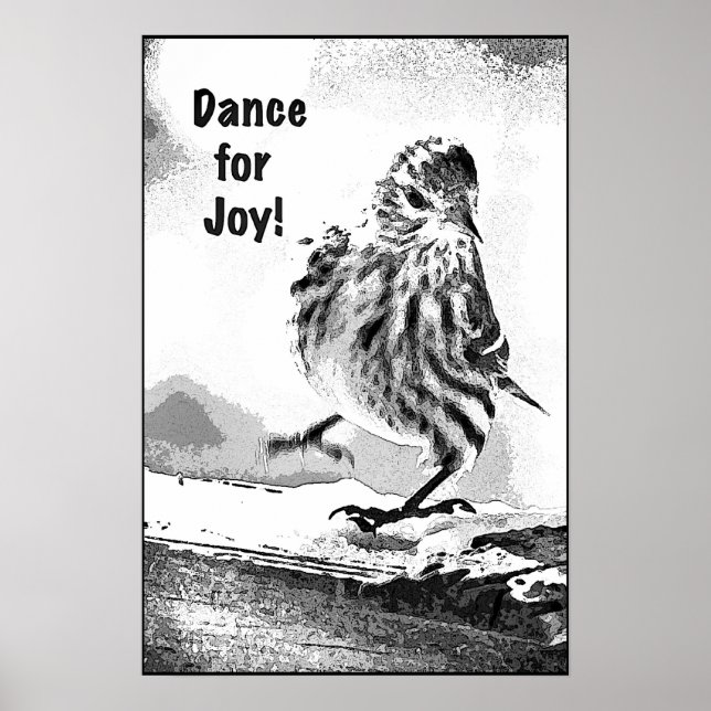 Póster Pine Siskin (Frente)