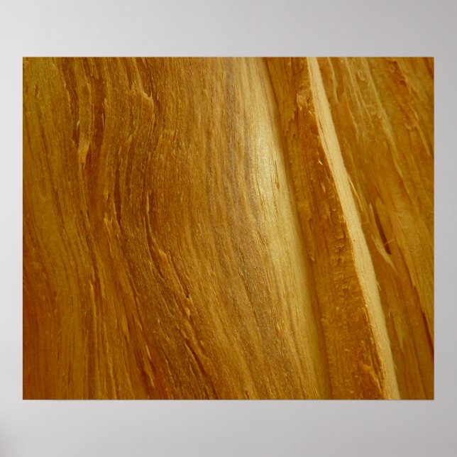 Póster Pine Wood II Faux Wooden Textura (Frente)