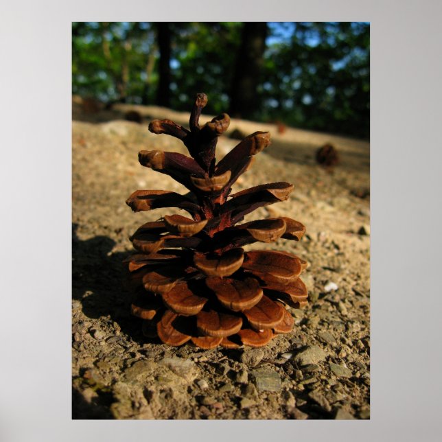 Póster pinecona (Frente)