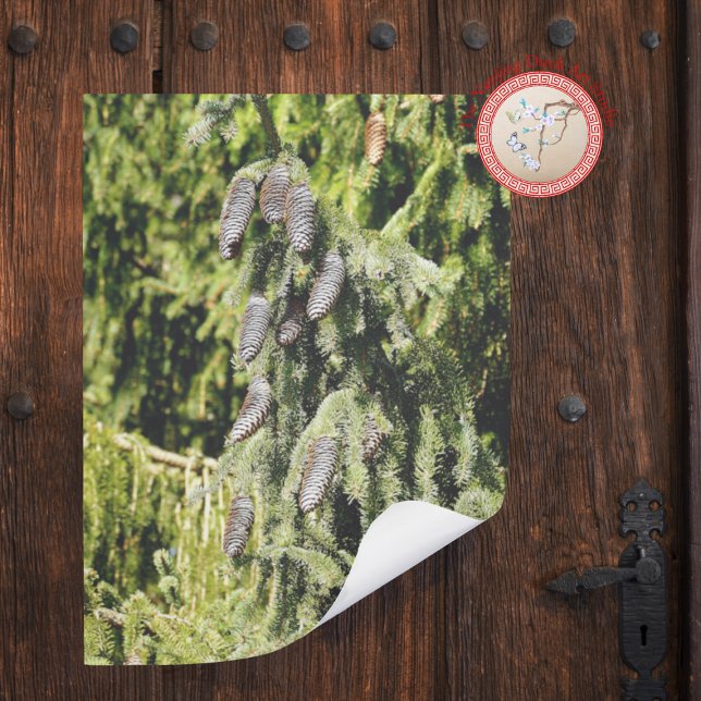 Póster Pinecones (Subido por el creador)