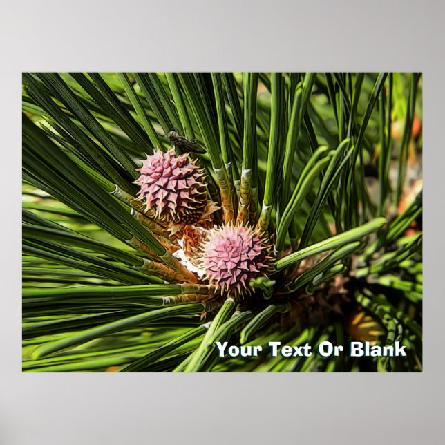 Póster Pinefluente (Frente)