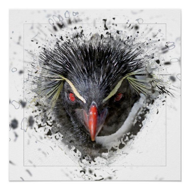 Póster Pingüino (Anverso)