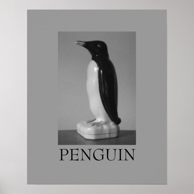 Póster pingüino ~ blanco y negro (Frente)