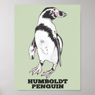 Póster Pingüino Humboldt