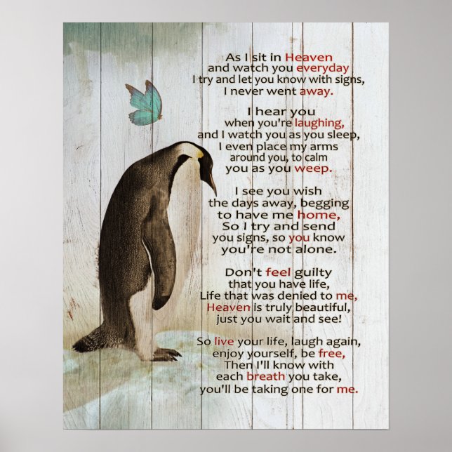 Póster Pingüino Mientras Me Siento En Los Dones Conmemora (Frente)