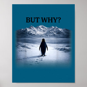 Póster Pingüino pero ¿por qué hacia las montañas pingüino