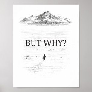 Póster Pingüino Pero Por Qué Montañas 