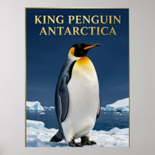 Póster 🐧 Pingüino Rey Antártida Fauna