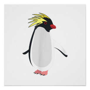 Póster Pingüino Saltarrocas Adorable Animal Antártico Div
