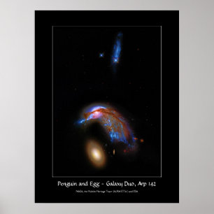 Póster Pingüino y Huevo - Doo de Galaxy Interactivo, Arp