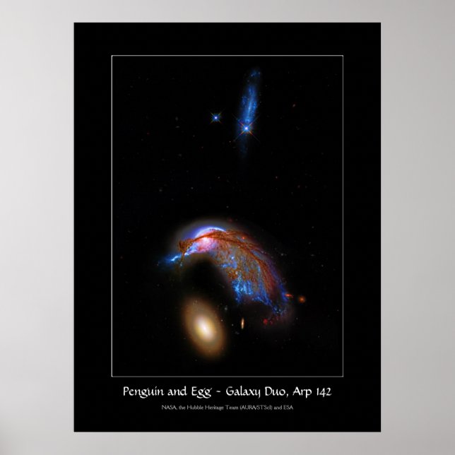 Póster Pingüino y Huevo - Doo de Galaxy Interactivo, Arp  (Frente)