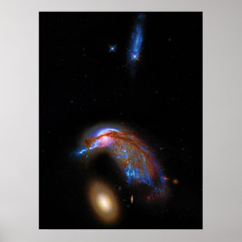 Póster Pingüino y Huevo - Doo de Galaxy Interactivo, Arp