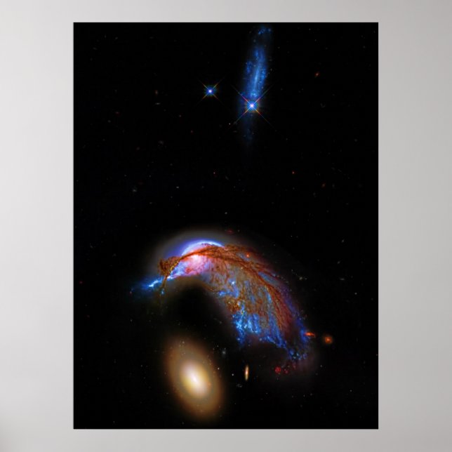 Póster Pingüino y Huevo - Doo de Galaxy Interactivo, Arp  (Frente)