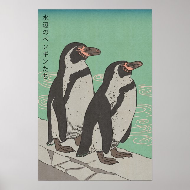 Póster Pingüinos junto al agua (Frente)