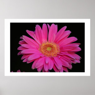 Póster Pink