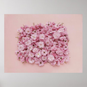 PÓSTER PINK AND WHITE FLOWER PETALS