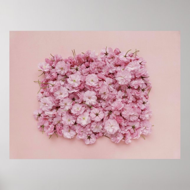 PÓSTER PINK AND WHITE FLOWER PETALS (Frente)