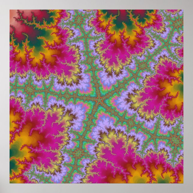 Póster Pink Cactus Starfish (Frente)