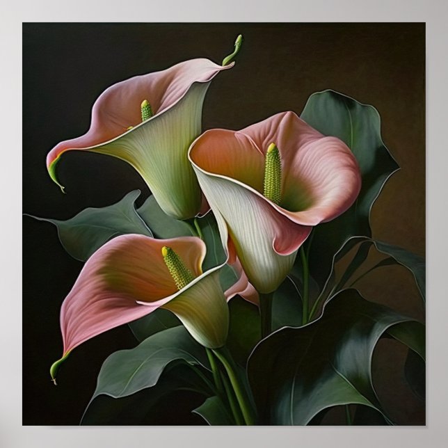 Póster Pink Calla Lilies Lily Flor Art Print Poster (Frente)