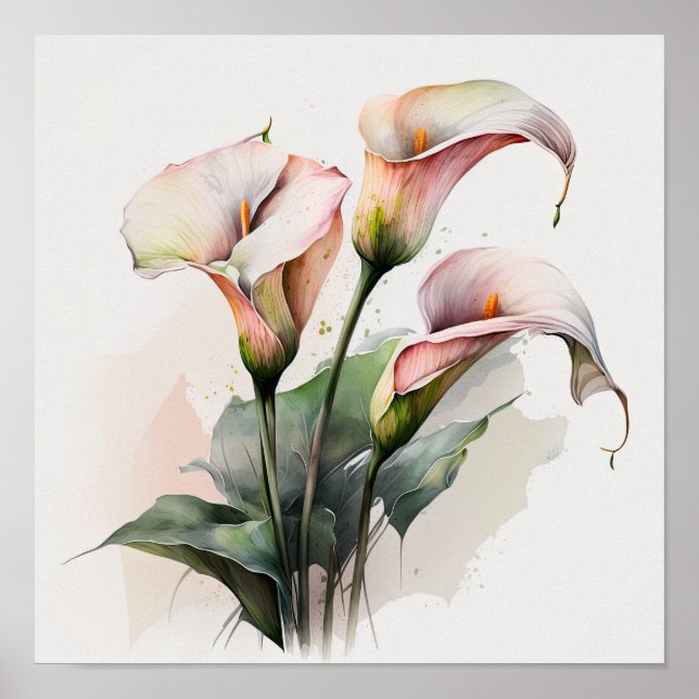 Póster Pink Calla Lilies Lily Flor Art Print Poster (Frente)