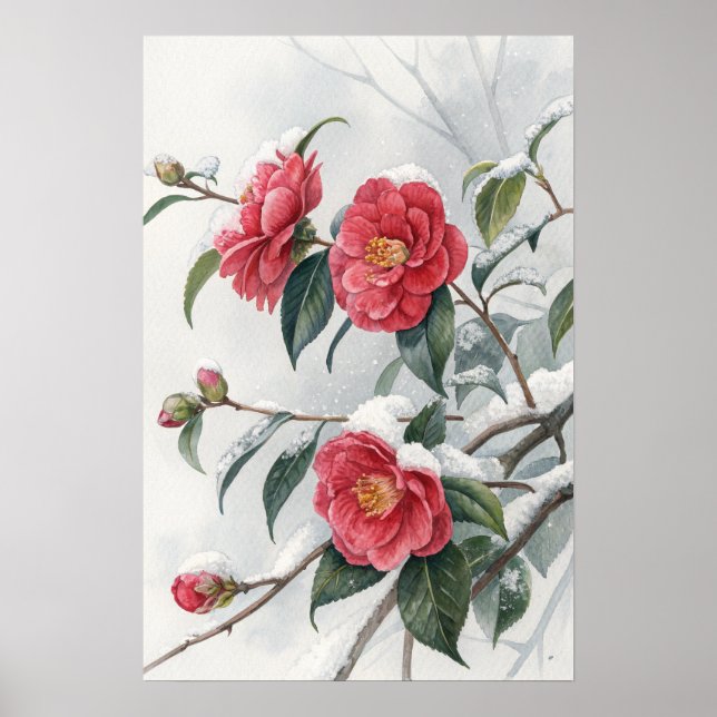 Póster Pink Camellia Snow  (Frente)